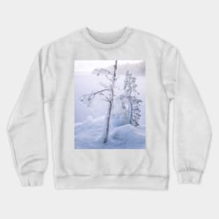 Frozen trees and fog Crewneck Sweatshirt